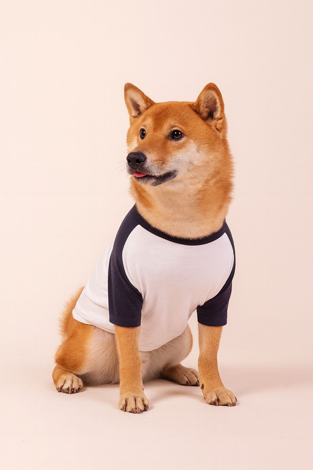 Camisa de Cachorro