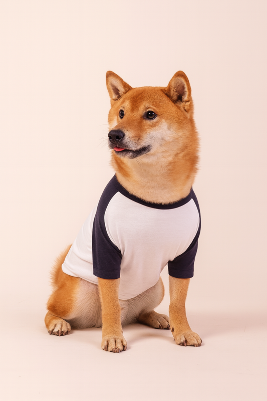Camisa de Cachorro