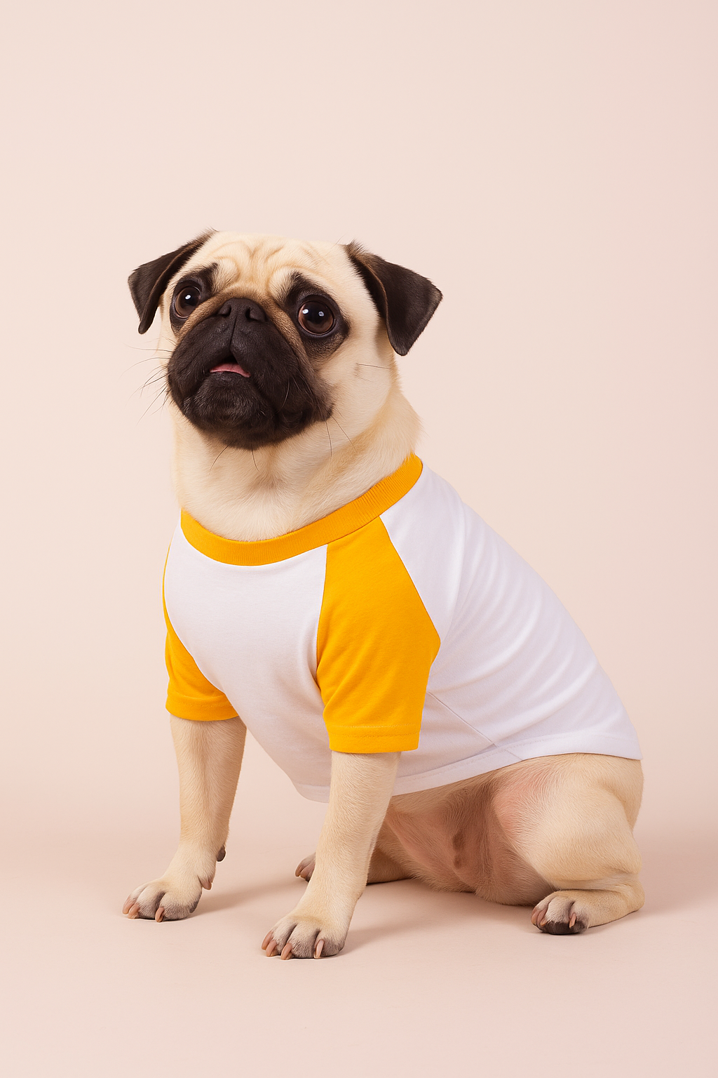Camisa de Cachorro