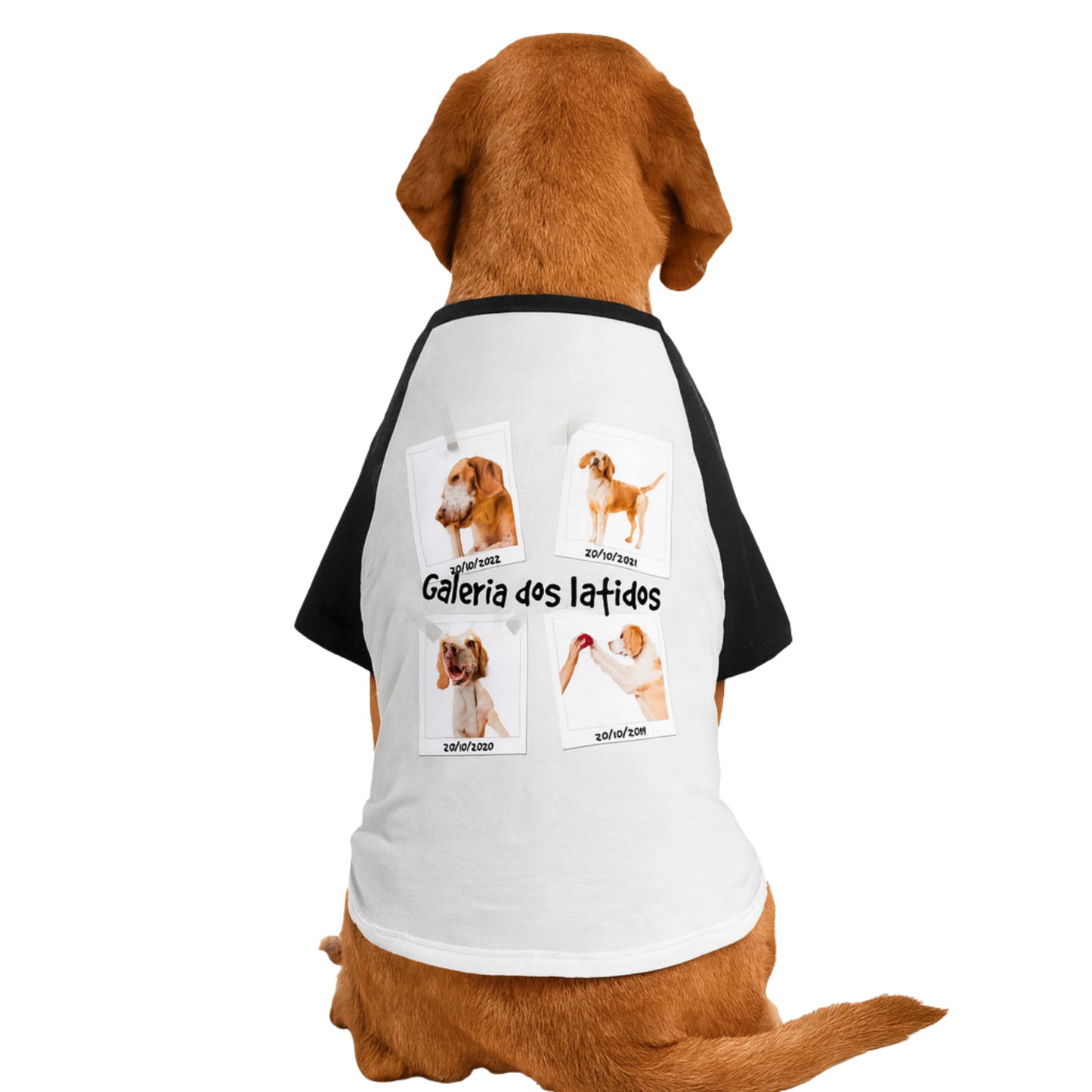 Galeria dos Latidos ( Camisa de cachorro)