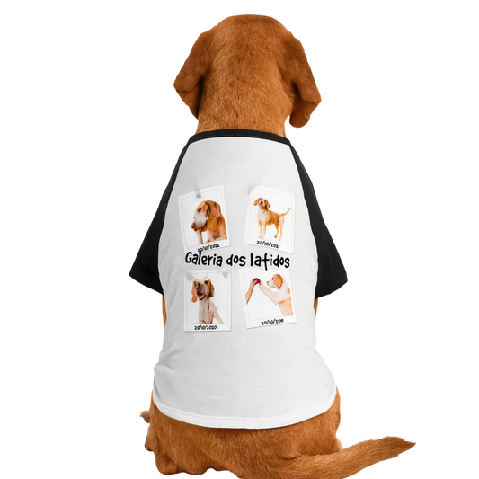 Galeria dos Latidos ( Camisa de cachorro)
