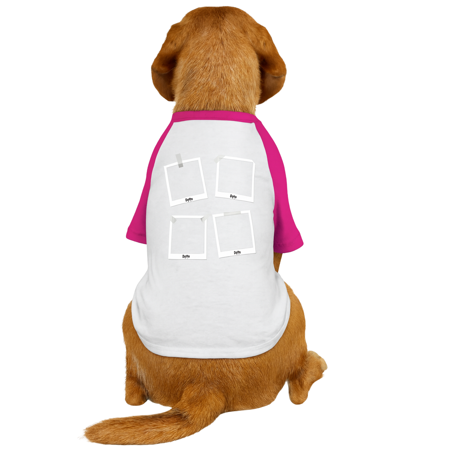 Galeria dos Latidos ( Camisa de cachorro)