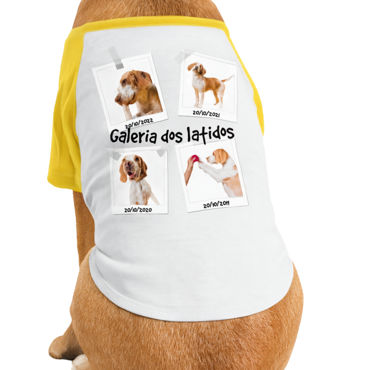 Galeria dos Latidos ( Camisa de cachorro)